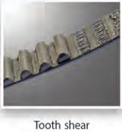 توضیح تصویر ۶